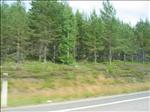 Sweden 2006-07 161